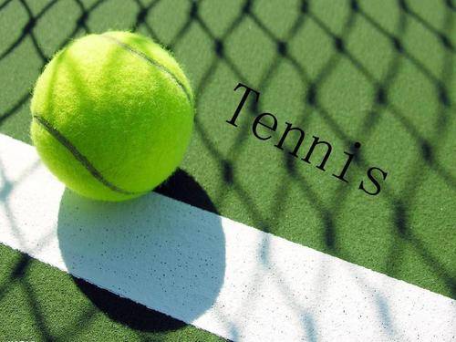 性场景在其 性场景在其